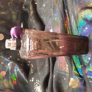 Trevor Midnight Rose